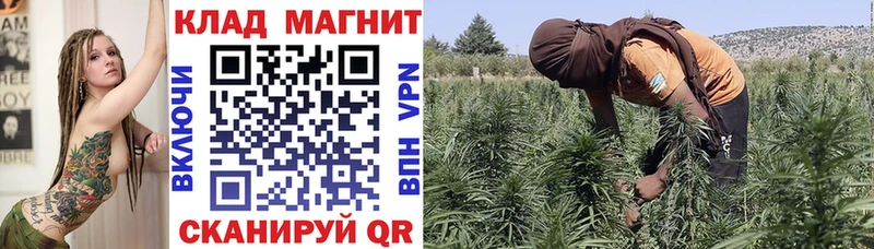 Alpha PVP Лодейное Поле