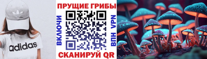 Псилоцибиновые грибы мухоморы  Лодейное Поле 