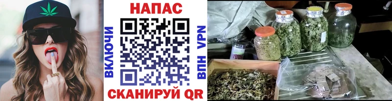 Шишки марихуана планчик ОМГ ОМГ tor Лодейное Поле